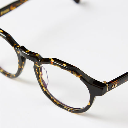 Pinto Specs
